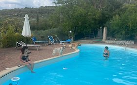 Setterhouseagrihotel